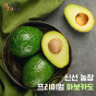 프리미엄 특품 아보카도 5과